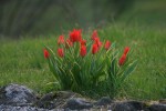 IMG_6180.jpg