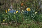 IMG_6206.jpg