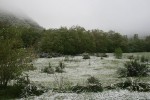 IMG_6337.jpg