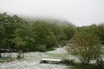 IMG_6338.jpg
