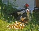 IMG_6742.jpg