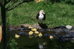 IMG_6747.jpg