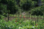 IMG_6844.jpg