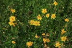 IMG_6854.jpg