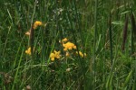 IMG_6877.jpg
