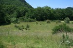 IMG_6886.jpg