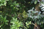 IMG_7000.jpg