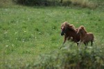 IMG_7077.jpg