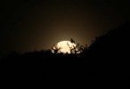 IMG_7516.jpg