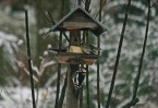 IMG_7815bis.jpg