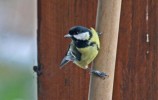 IMG_7846.jpg