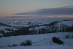 IMG_7901.jpg