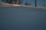 IMG_7904.jpg