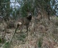 IMG_8057bis.jpg