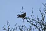 IMG_8104.jpg
