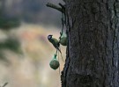 IMG_8228.jpg