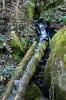 IMG_8262.jpg
