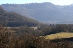 IMG_8317.jpg