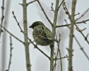 IMG_8350.jpg