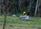 IMG_8365.jpg