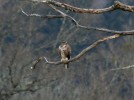 IMG_8541bis.jpg
