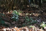 IMG_8586.jpg