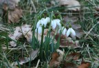 IMG_8590.JPG
