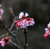 IMG_8781.JPG
