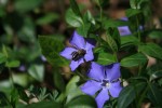 IMG_9190.JPG
