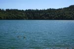 IMG_9222.jpg