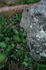 IMG_9344.JPG