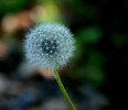 IMG_9470.JPG