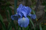 IMG_9516.JPG