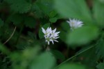 IMG_9590.JPG
