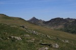 IMG_9704.jpg