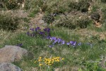IMG_9762.jpg
