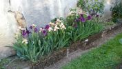 Nom du fichier=iris_01_2017.jpg
Taille du fichier=129Ko
Dimensions : 700x394
Ajouté le : 24 Avril 2017 iris_01_2017.jpg