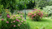 Nom du fichier=jardin1~0.jpg
Taille du fichier=152Ko
Dimensions : 700x394
Ajouté le : 05 Juillet 2016 jardin1~0.jpg