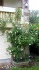 Nom du fichier=jardin2~0.jpg
Taille du fichier=123Ko
Dimensions : 394x700
Ajouté le : 05 Juillet 2016 jardin2~0.jpg