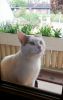 Nom du fichier=titi2.jpg
Taille du fichier=61Ko
Dimensions : 379x600
Ajouté le : 16 Mai 2017 titi2.jpg
