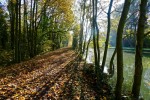 Automne_-_1.jpg