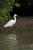 GLOR0127_DxO.jpg