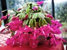 GLO_8916.jpg