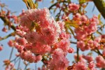 IMG_9998.jpg