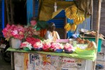 Inde_du_Sud_2013_7.jpg