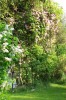 avril_2011-5.jpg