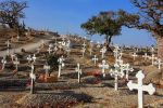 baobab_cimetière2.jpg