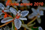 bonne_année.jpg