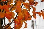 couleurs2.jpg