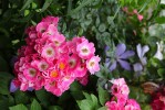 couleurs2_3-7-09.JPG